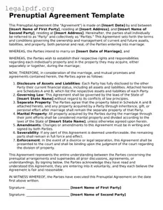 Blank Prenuptial Agreement Document